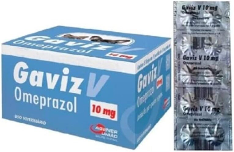 Gaviz-120079674